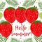 Fruit Themed Balloons Strawberry Latex Balloons(Strawberry Latex Balloon)
